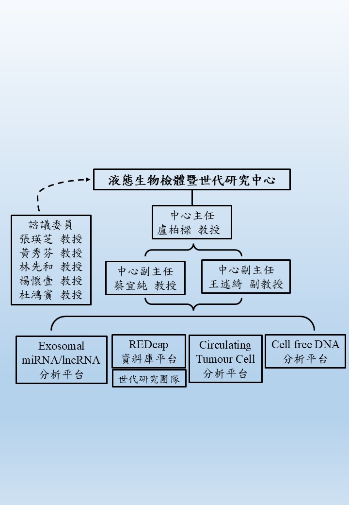 2024 12 CLBCR for 網頁 組織架構圖update